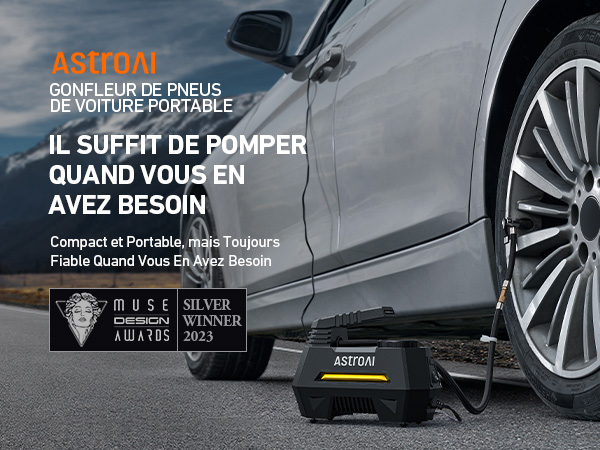 Compresseur D'Air Pour Pneus De Voiture Dc 12 V Avec Manomètres