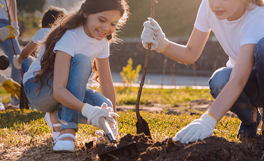 Environmental Protection Protecting Parks for the Next Generation