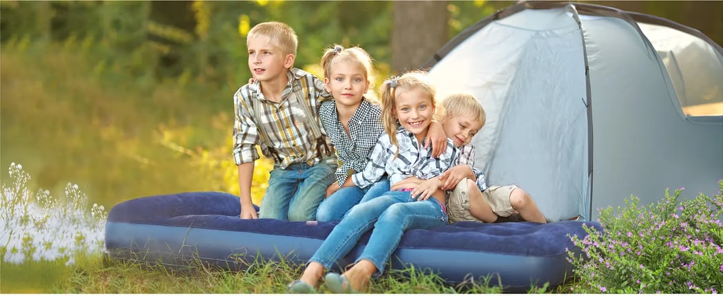 AstroAI Small Air Pump with 3 Nozzles for Air Beds, Inflatables, Balls, Pool, 120V, AC/DC