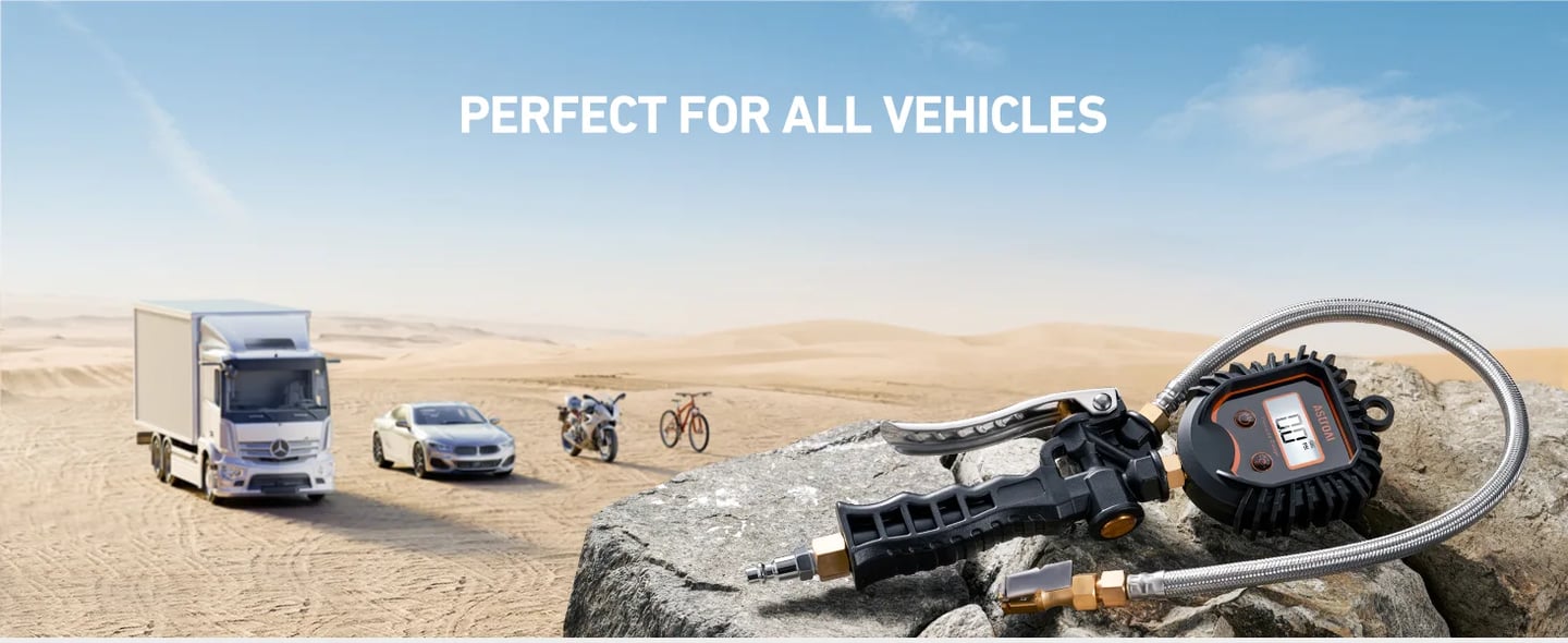 AstroAI 250 PSI Digital Tire Inflator with Pressure Gauge, Model TIG250B