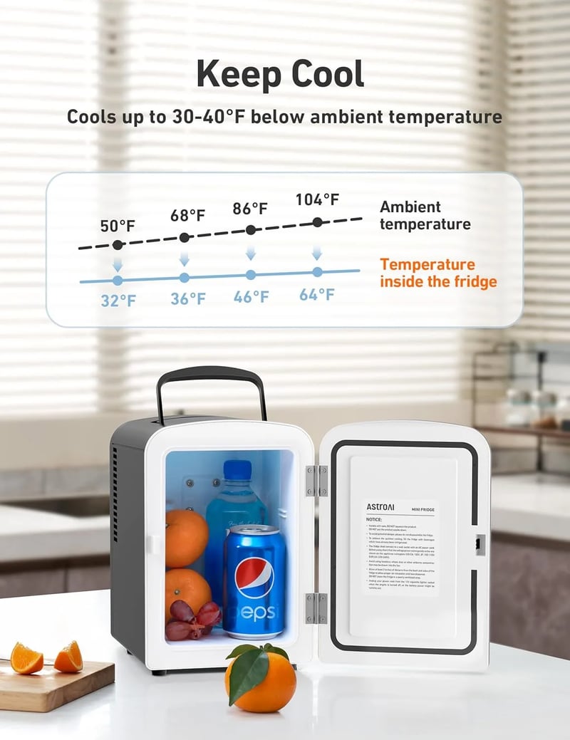AstroAI Black Mini Fridge for Outdoors, Rooms, Office, Skincare, Beverage, 4 Liter/6 Can, AC/DC